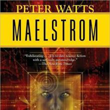 Maelstrom cover picture