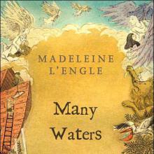 Many Waters cover picture