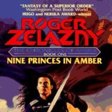 Nine Princes In Amber cover picture