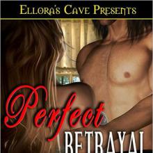 Perfect Betrayal cover picture