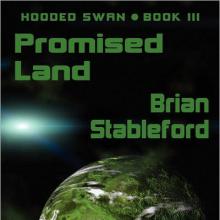 Promised Land cover picture