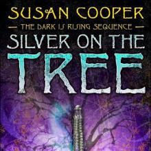 Silver On The Tree cover picture