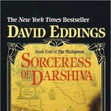 Sorceress Of Darshiva cover picture