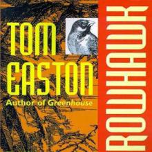 Sparrowhawk cover picture