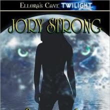Syndelle's Possession cover picture