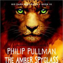 The Amber Spyglass cover picture