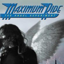 The Angel Experiment cover picture