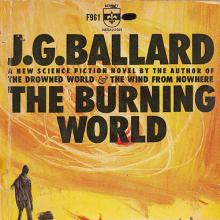 The Burning World cover picture