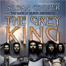 The Grey King cover picture