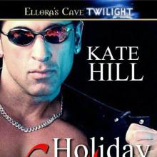 The Holiday Stalking cover picture