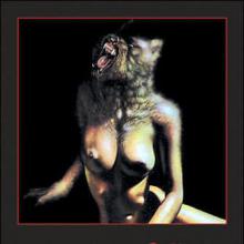 The Image Of The Beast cover picture