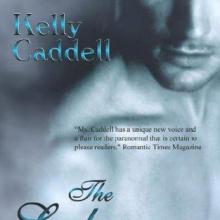 The Lady And The Rogue cover picture