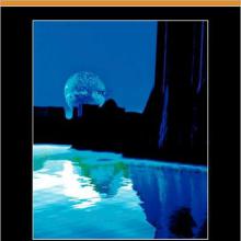 The Moon Pool cover picture