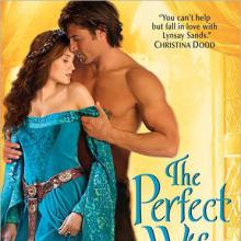 The Perfect Wife cover picture