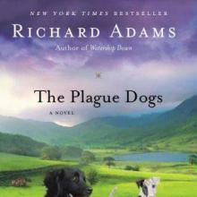 The Plague Dogs cover picture