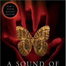The Sound Of Thunder cover picture