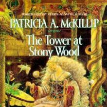 The Tower At Stony Wood cover picture