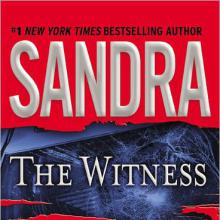 The Witness cover picture