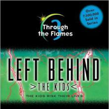 Through The Flames cover picture