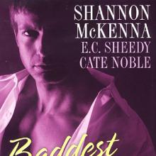 Baddest Bad Boys book cover