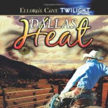 Dallas Heat book cover