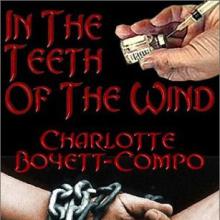 In The Teeth Of The Wind book cover