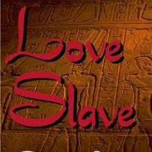 Love Slave book cover