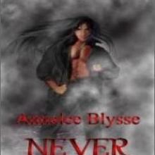 Never A Sunset book cover
