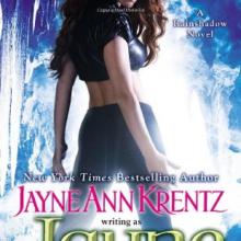 The Lost Night book cover