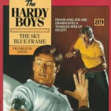 The Sky Blue Frame book cover