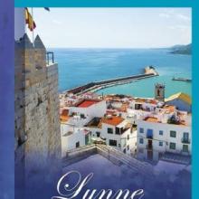 The Spanish Groom book cover