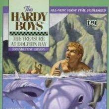 The Treasure at Dolphin Bay book cover