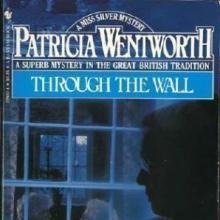 Through The Wall book cover