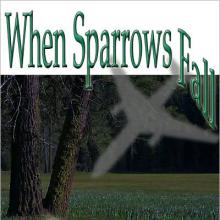 When Sparrows Fall cover picture