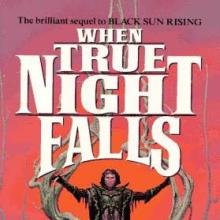 When True Night Falls cover picture