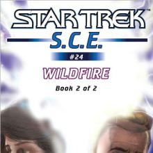 Wildfire Book 2 cover picture