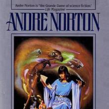 Wizard's Worlds cover picture