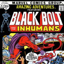Blackbolt and the Inhumans: The Madness of Magneto cover picture