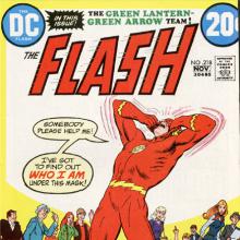 The Flash of a 1000 Faces cover picture