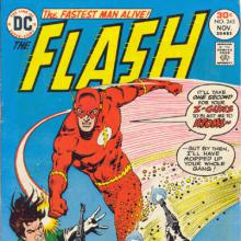 Who Put the Zing in the Flash? cover picture