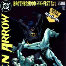 Brotherhood of the Fist - Part 1 cover picture