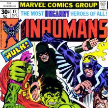 A Beserker Called Hulk cover picture