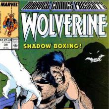 Marvel Comics Presents 039 cover picture