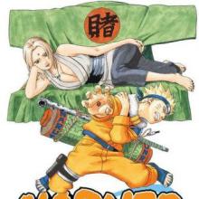 Tsunade's Choice cover picture