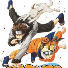 Predicament cover picture