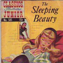 Sleeping Beauty cover picture
