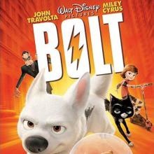 Bolt cover picture