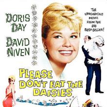 Please Don't Eat The Daisies cover picture