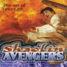 Shaolin Avengers cover picture