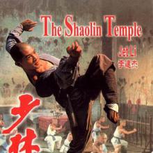 The Shaolin Temple cover picture